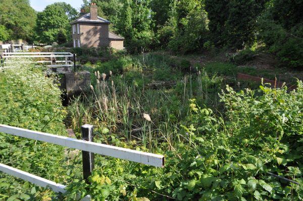 Lock 95 side ponds