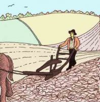 Agricultural Development